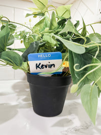 Load image into Gallery viewer, HELLO MY NAME IS... - Acrylic Plant Stake
