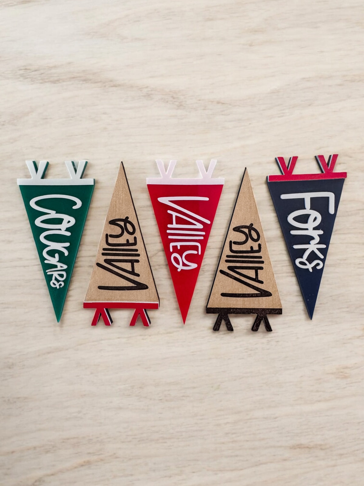 School Spirit Pennant Magnet