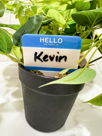 Load image into Gallery viewer, HELLO MY NAME IS... - Acrylic Plant Stake
