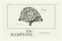 Load image into Gallery viewer, Seinfeld &quot;The Hamptons&quot; Schematic  | 12&quot;x18&quot; or 18&quot;x24&quot; Print only
