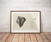 Load image into Gallery viewer, Television Show &quot;Schematics&quot; | DIGITAL ARTWORK DOWNLOAD | FILE ONLY
