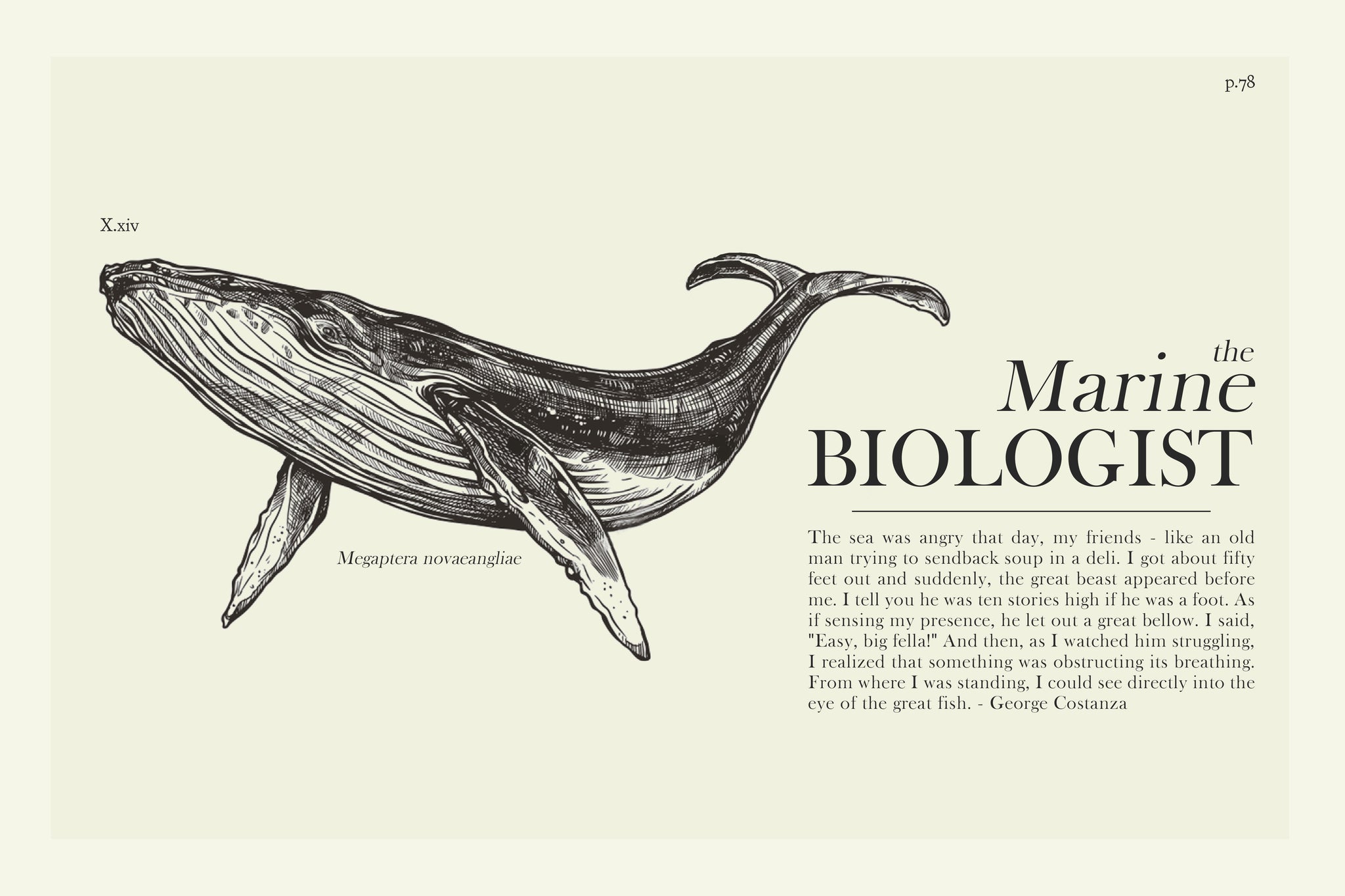 Marine Biologist Drawing